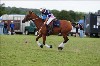 UKPA NC SAT_2876